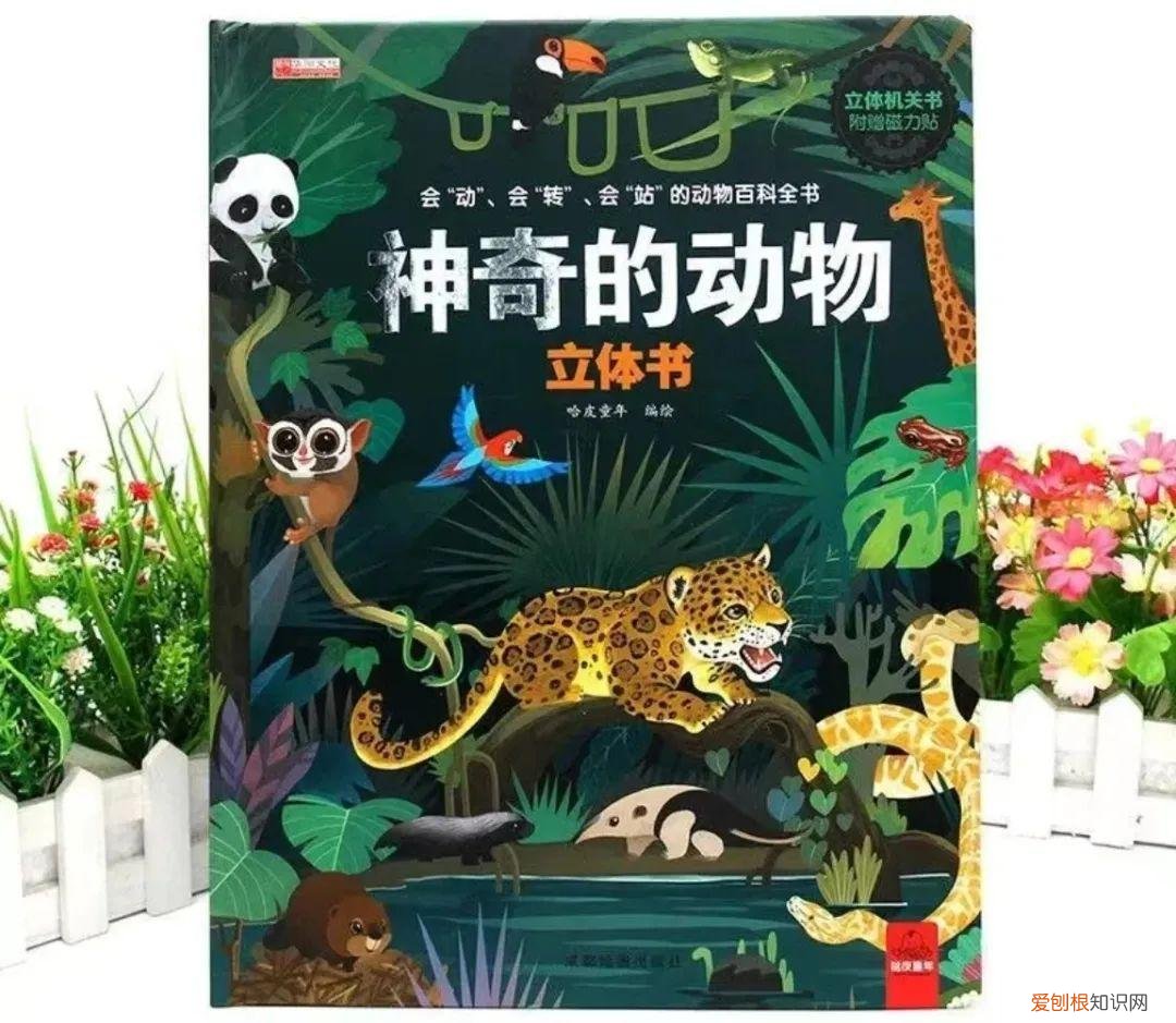 宝宝认知大全:动物书籍，3本孩子一眼就迷住的动物科普书，妈妈孩子都被惊艳到