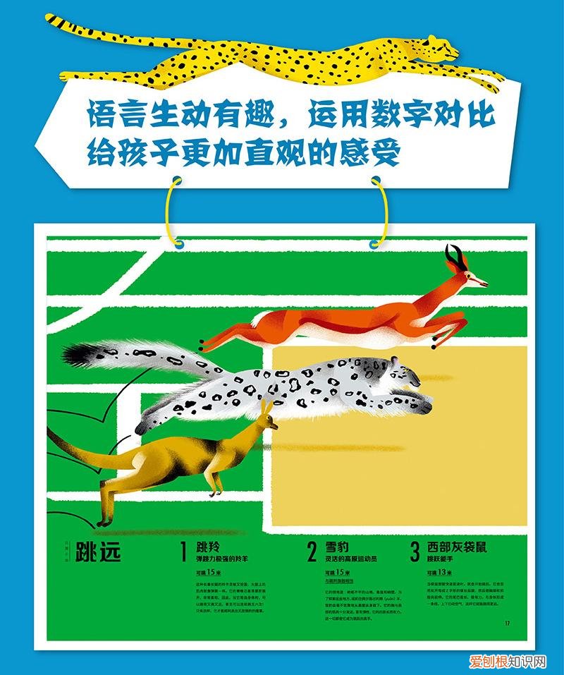 绘本有趣的动物，动物科普绘本暑假必备，你家书架上不能少的这几套书