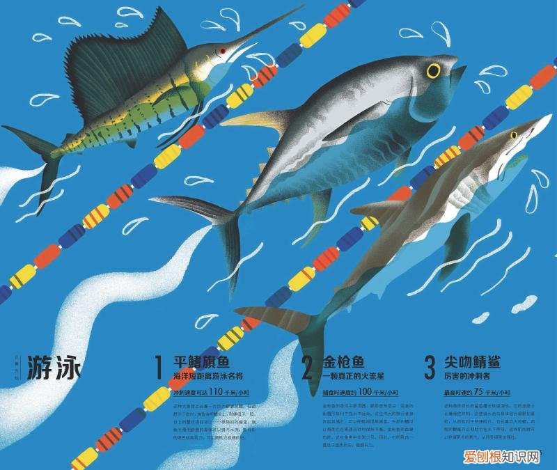 绘本有趣的动物，动物科普绘本暑假必备，你家书架上不能少的这几套书
