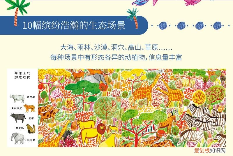 绘本有趣的动物，动物科普绘本暑假必备，你家书架上不能少的这几套书