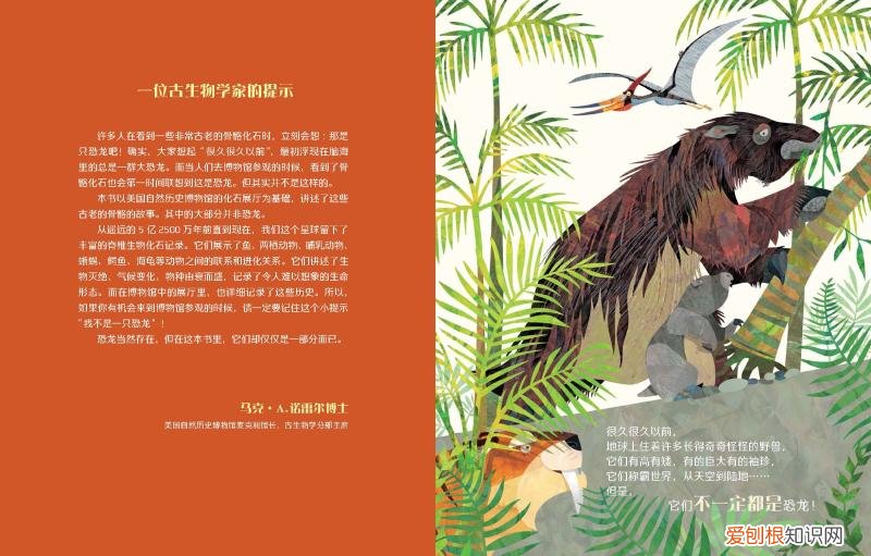 绘本有趣的动物，动物科普绘本暑假必备，你家书架上不能少的这几套书