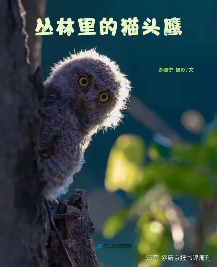 猹和果子狸的区别，从“果子狸肉可以吃”说起：儿童科普，为何乱象丛生？