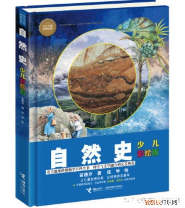 猹和果子狸的区别，从“果子狸肉可以吃”说起：儿童科普，为何乱象丛生？