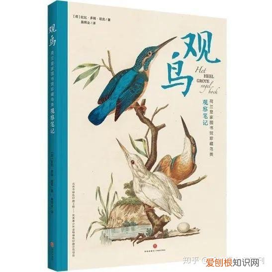 猹和果子狸的区别，从“果子狸肉可以吃”说起：儿童科普，为何乱象丛生？