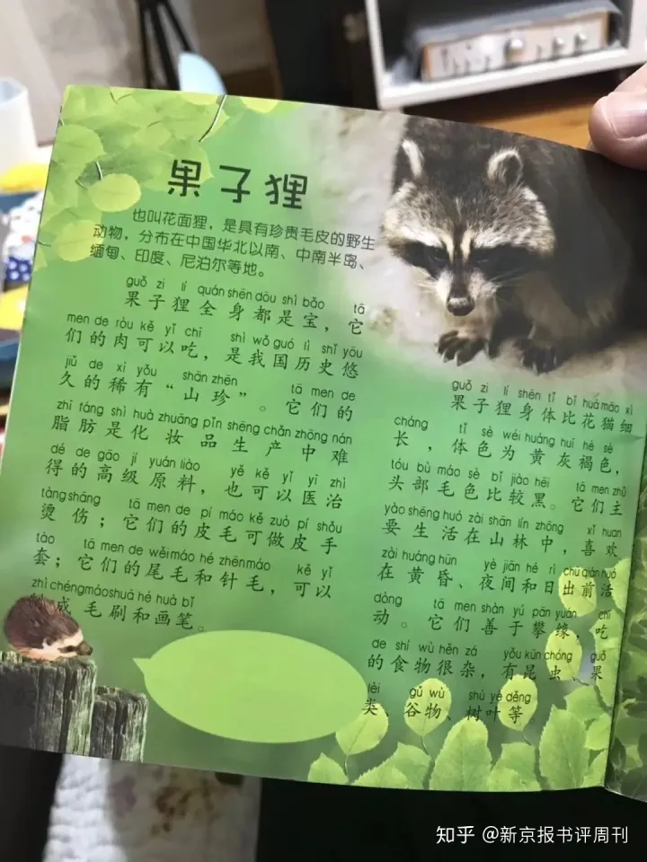 猹和果子狸的区别，从“果子狸肉可以吃”说起：儿童科普，为何乱象丛生？