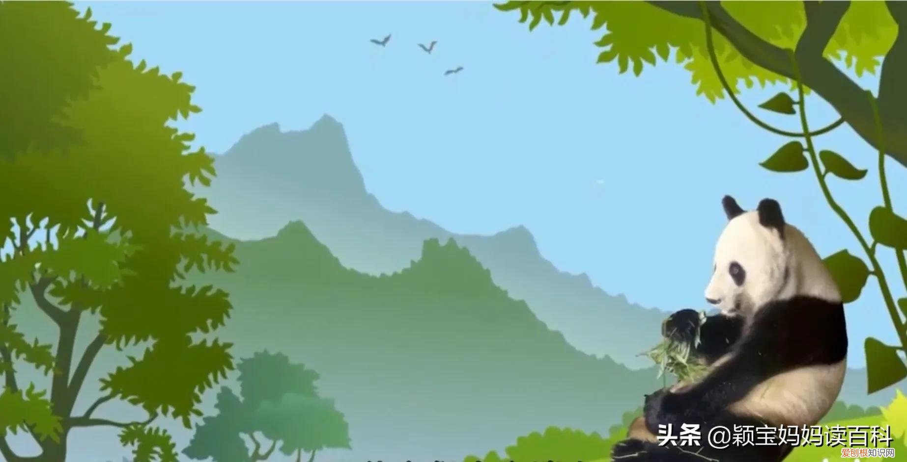 二十一 常见50种哺乳动物，少儿百科科普——强大的哺乳动物
