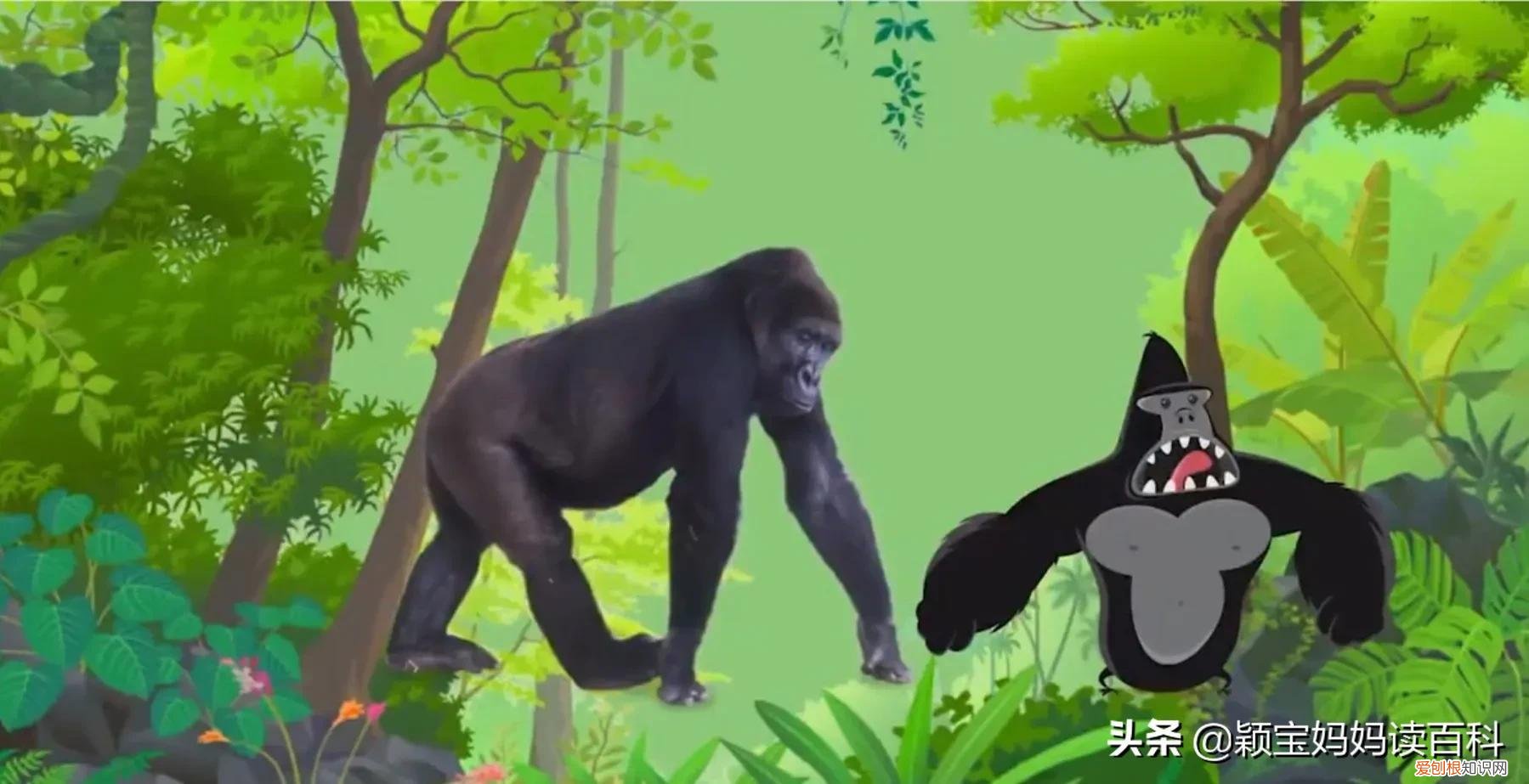 二十一 常见50种哺乳动物，少儿百科科普——强大的哺乳动物
