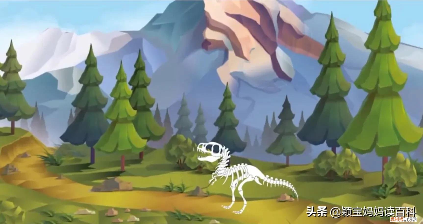 二十一 常见50种哺乳动物，少儿百科科普——强大的哺乳动物