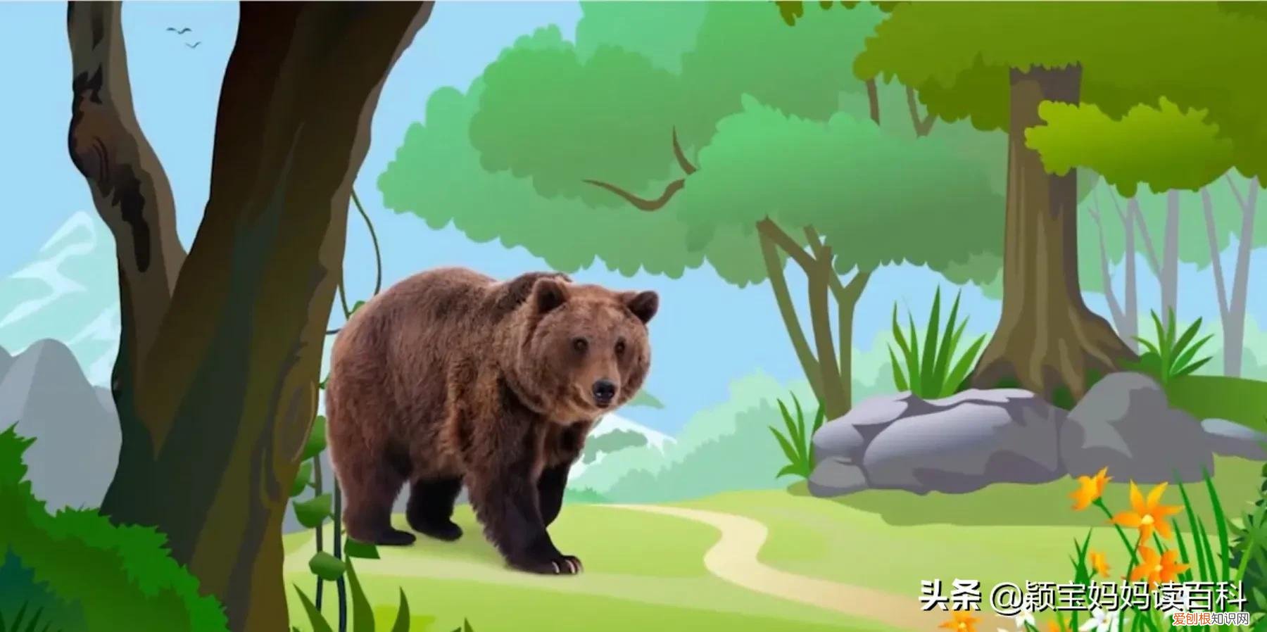 二十一 常见50种哺乳动物，少儿百科科普——强大的哺乳动物