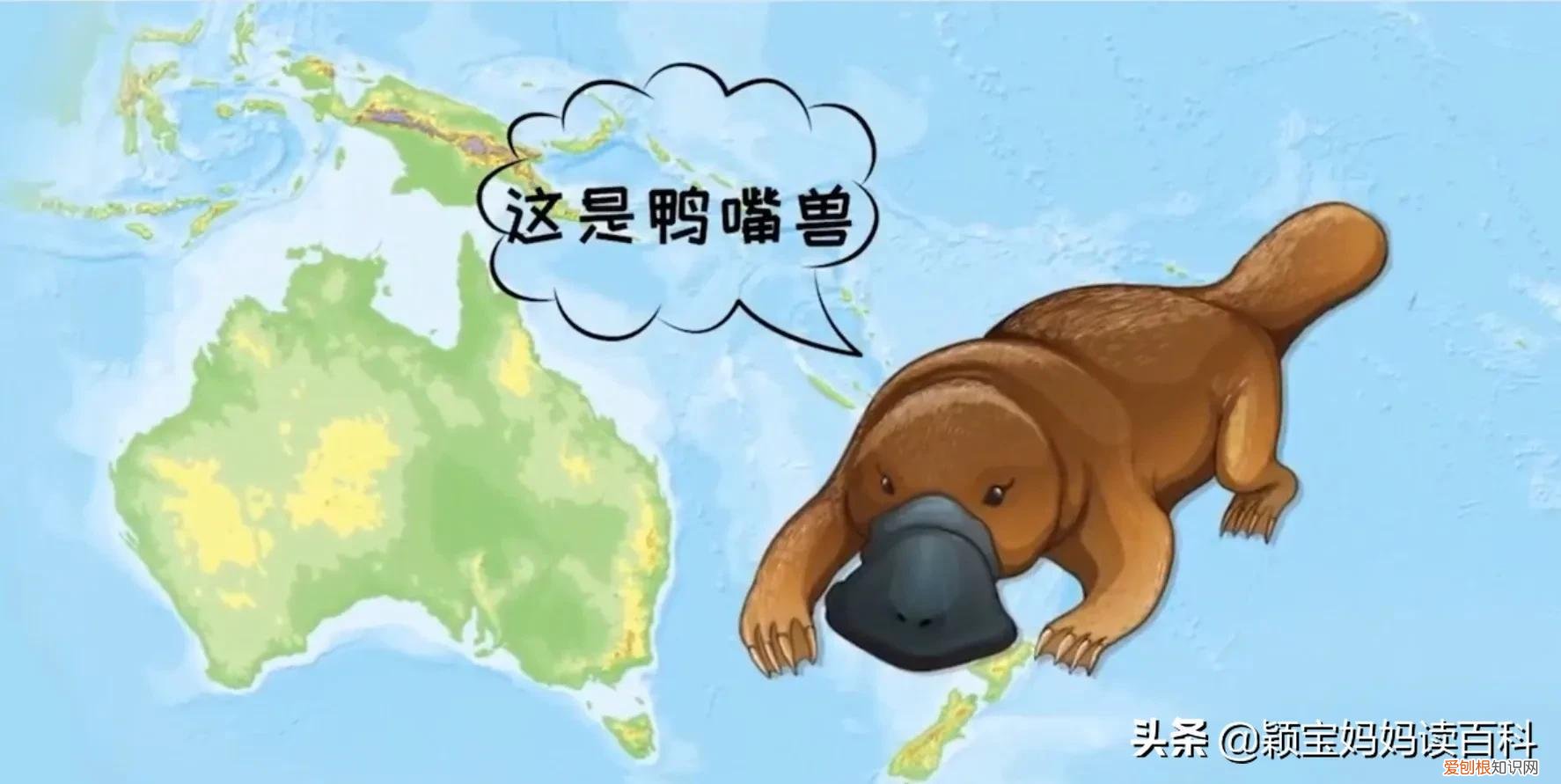 二十一 常见50种哺乳动物，少儿百科科普——强大的哺乳动物