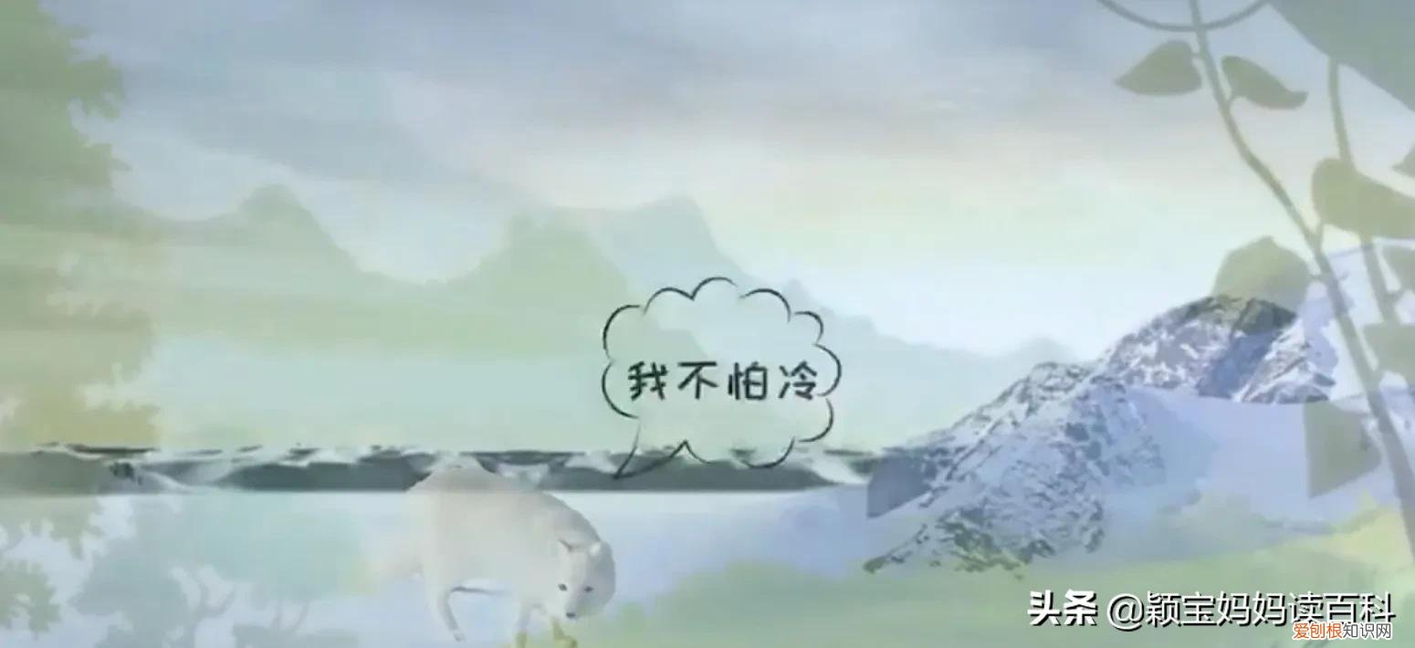 二十一 常见50种哺乳动物，少儿百科科普——强大的哺乳动物