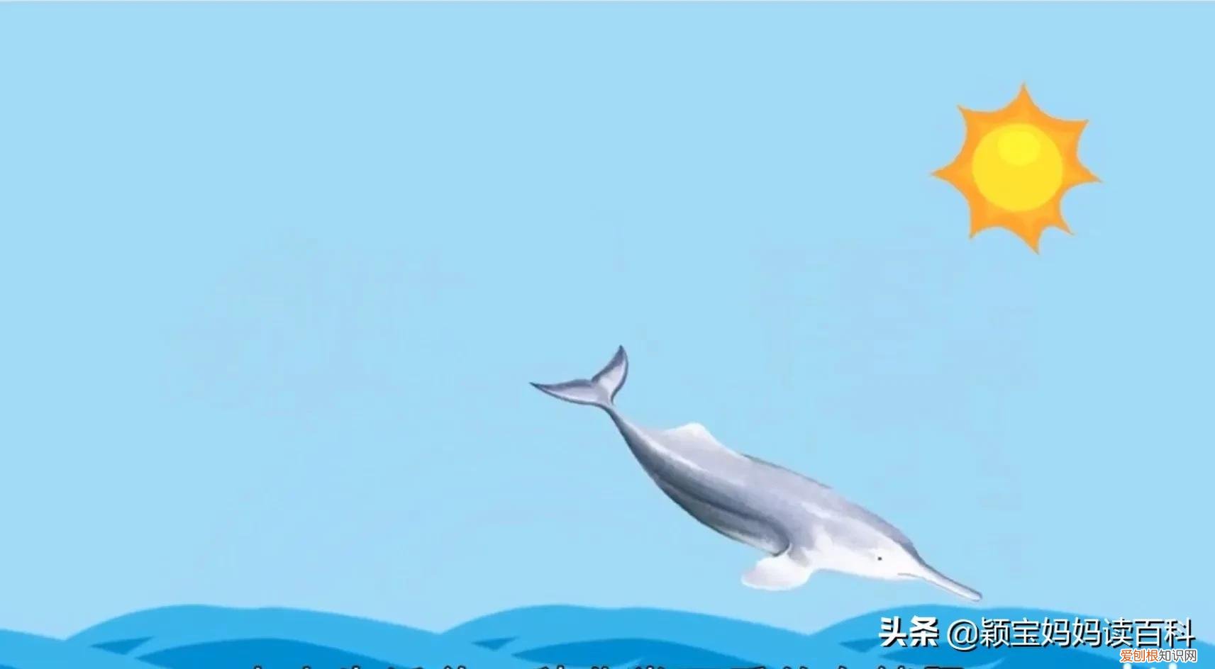 二十一 常见50种哺乳动物，少儿百科科普——强大的哺乳动物