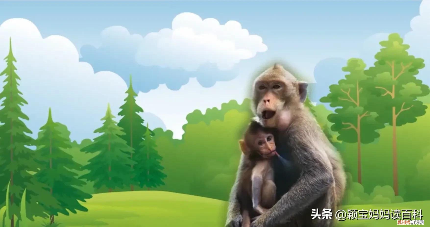 二十一 常见50种哺乳动物，少儿百科科普——强大的哺乳动物