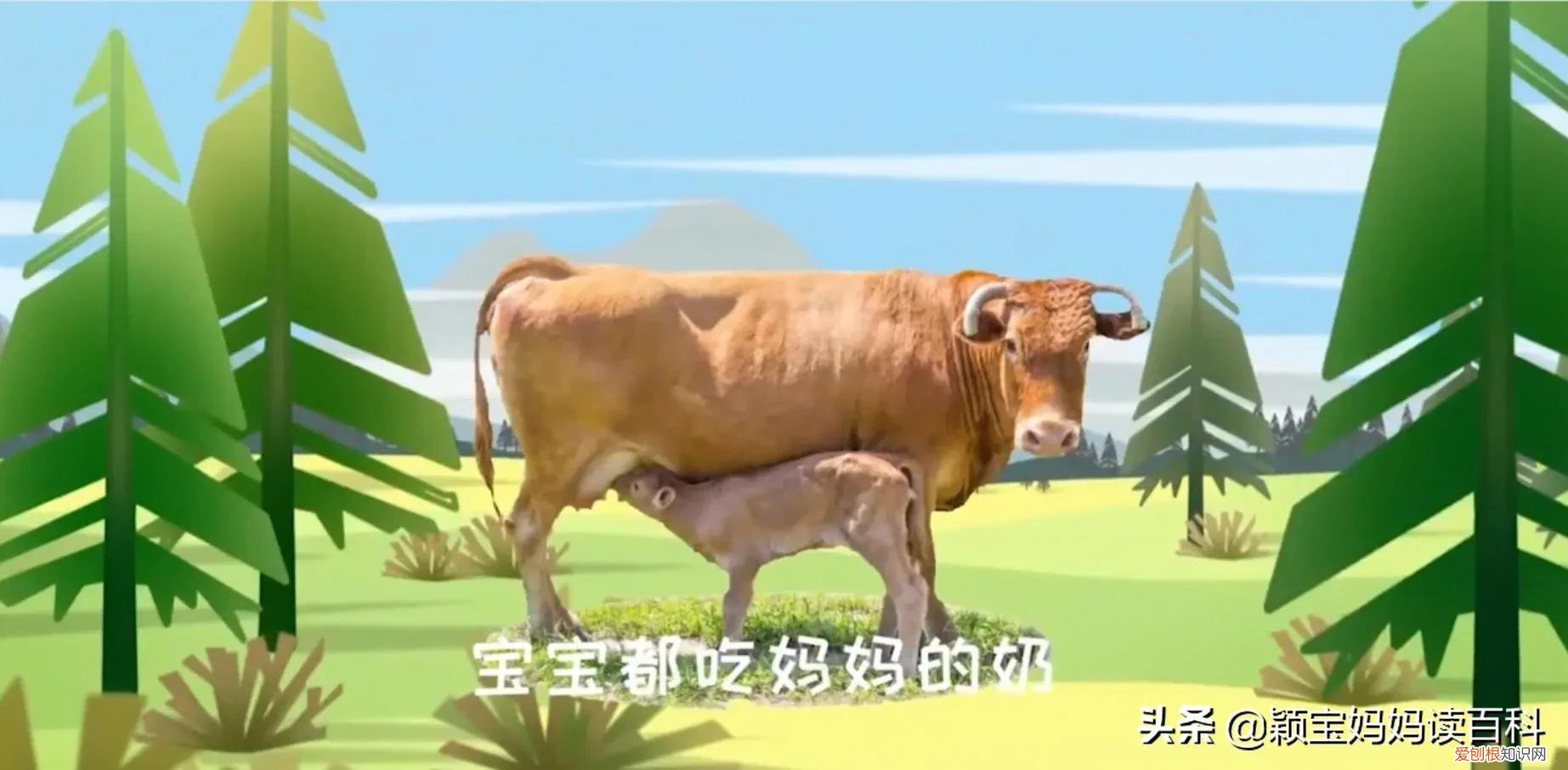 二十一 常见50种哺乳动物，少儿百科科普——强大的哺乳动物