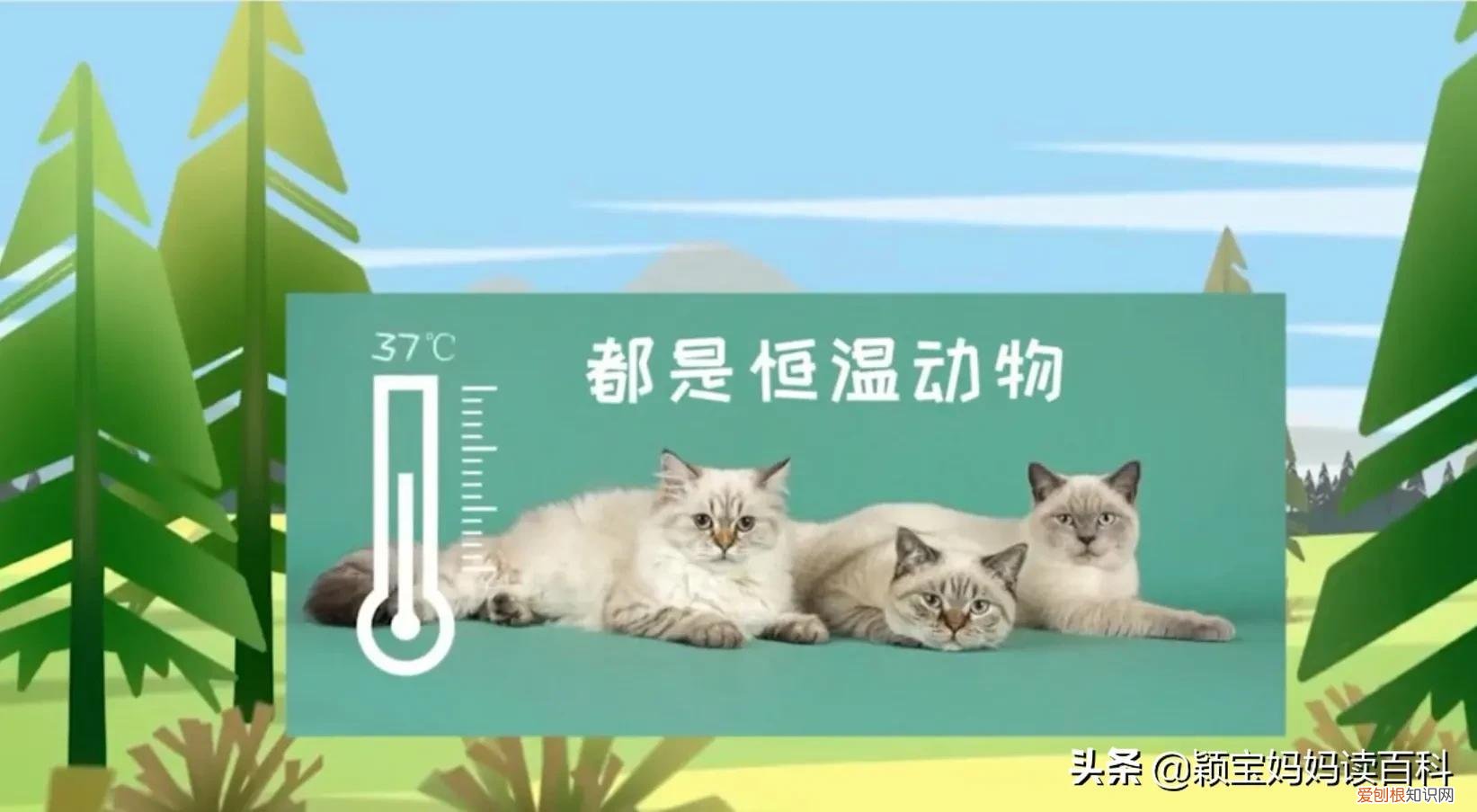 二十一 常见50种哺乳动物，少儿百科科普——强大的哺乳动物
