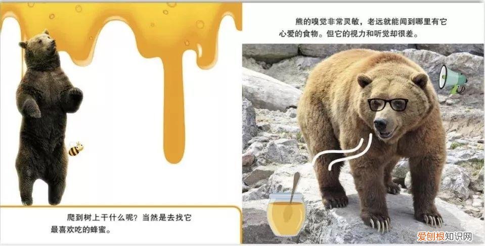 读动物小百科书有感，才2元多一本的《神奇动物小百科》，宝宝增长见识，开阔眼界