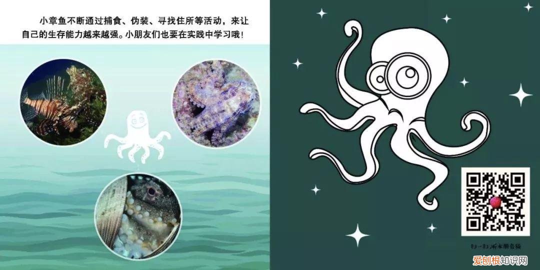 读动物小百科书有感，才2元多一本的《神奇动物小百科》，宝宝增长见识，开阔眼界