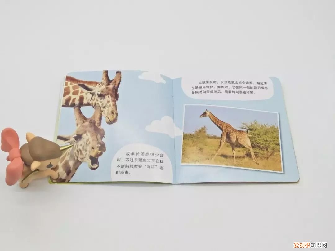 读动物小百科书有感，才2元多一本的《神奇动物小百科》，宝宝增长见识，开阔眼界