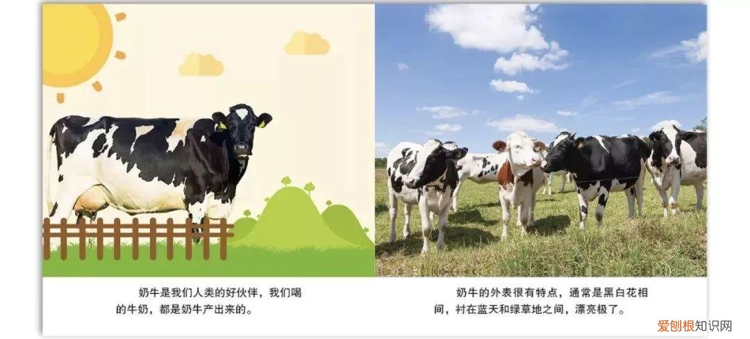 读动物小百科书有感，才2元多一本的《神奇动物小百科》，宝宝增长见识，开阔眼界