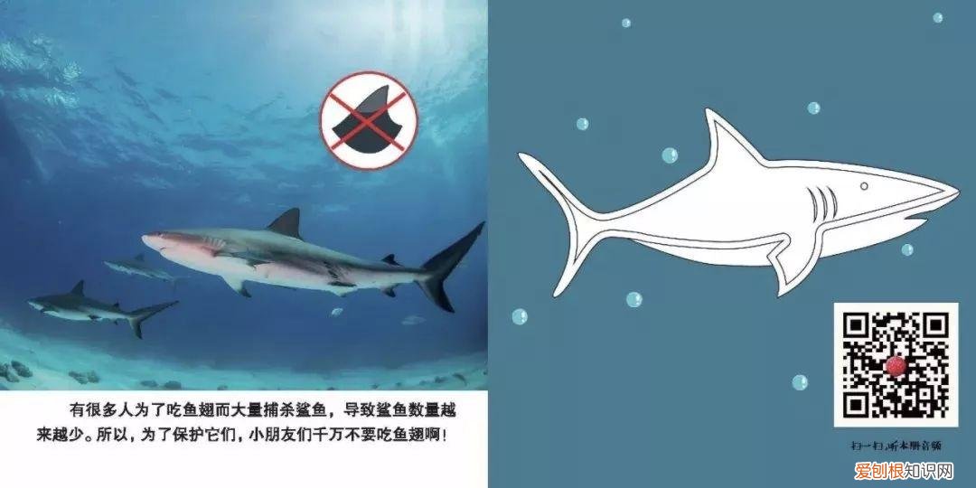 读动物小百科书有感，才2元多一本的《神奇动物小百科》，宝宝增长见识，开阔眼界