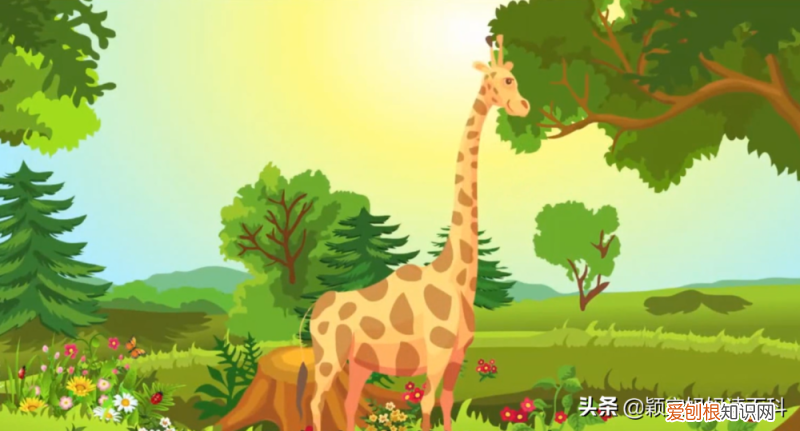 二十 少儿百科全书,少儿百科科普:恐龙统治地球的时代