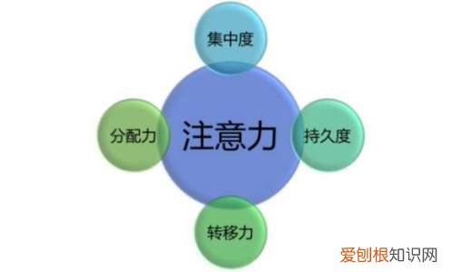 小孩子专注力怎么培养，孩子专注力的培养