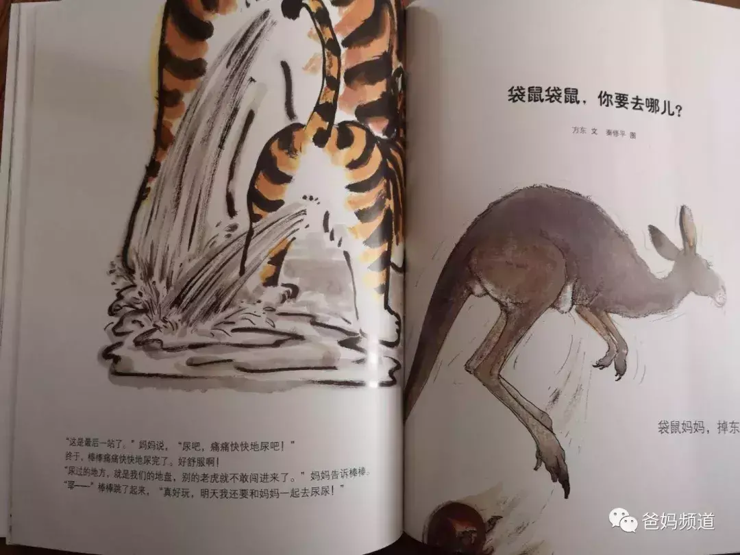 38岁是多少个月的宝宝,3-8岁孩子最爱的动物百科,我只推荐这一套