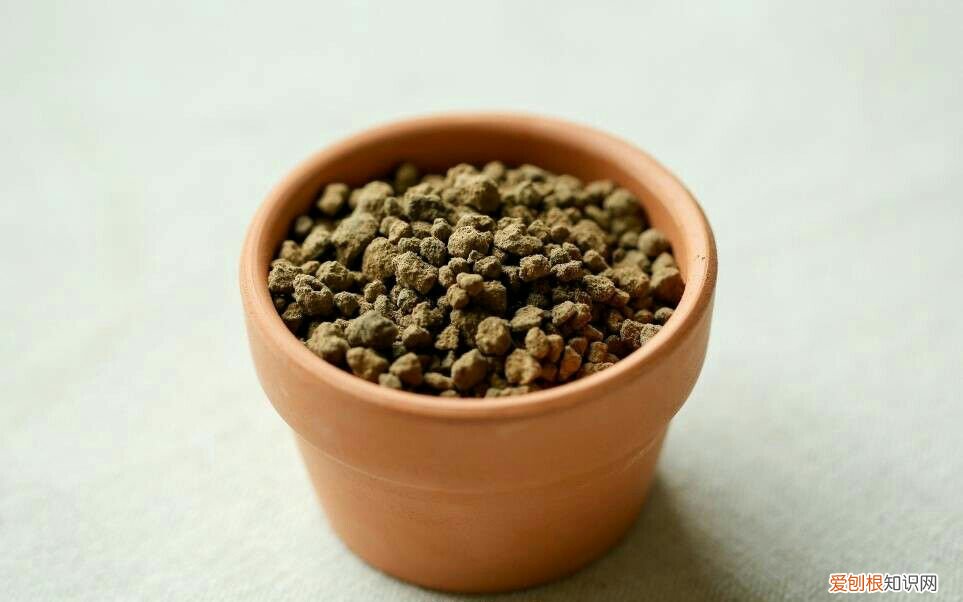 养花用什么泥比较好，不是什么泥巴都能养花！养好一盆花，从学会用土开始吧！