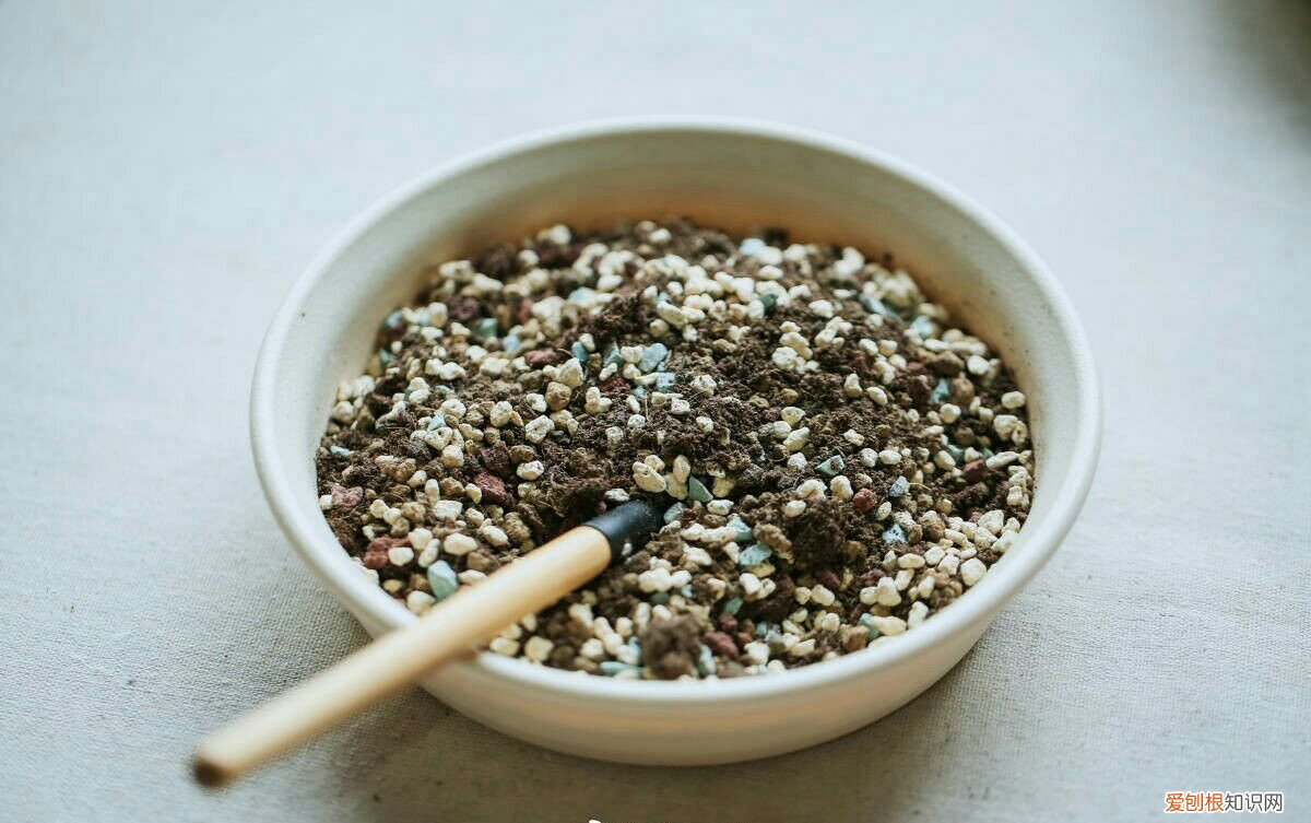 养花用什么泥比较好，不是什么泥巴都能养花！养好一盆花，从学会用土开始吧！