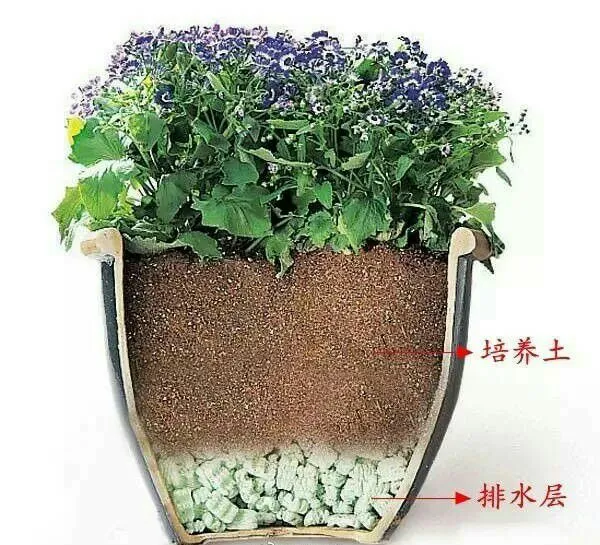 养花用什么泥比较好，不是什么泥巴都能养花！养好一盆花，从学会用土开始吧！