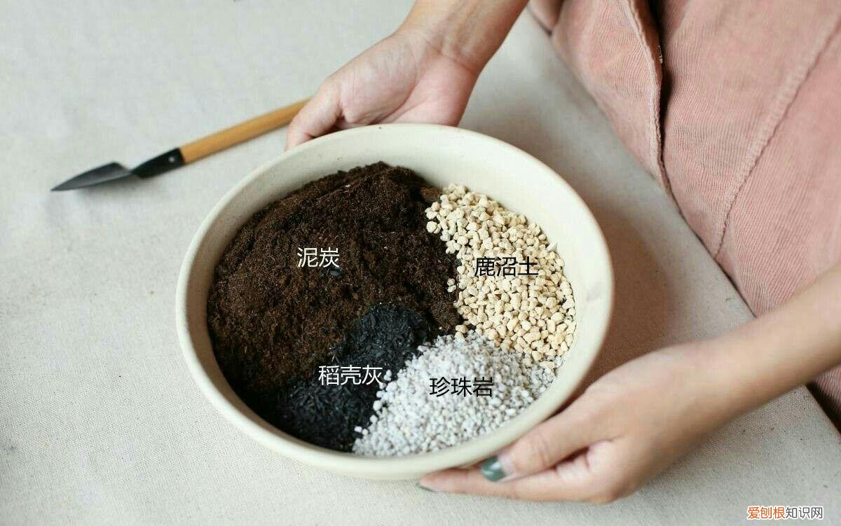 养花用什么泥比较好，不是什么泥巴都能养花！养好一盆花，从学会用土开始吧！