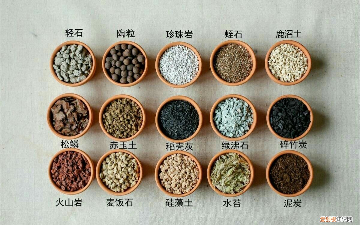 养花用什么泥比较好，不是什么泥巴都能养花！养好一盆花，从学会用土开始吧！
