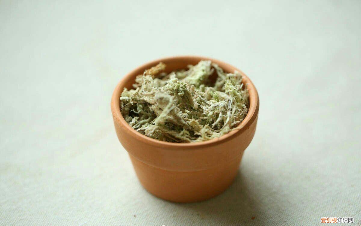 养花用什么泥比较好，不是什么泥巴都能养花！养好一盆花，从学会用土开始吧！