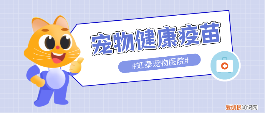 杭州市虹泰宠物医院，杭州虹泰宠物医院科普｜宠物接种疫苗百科全书