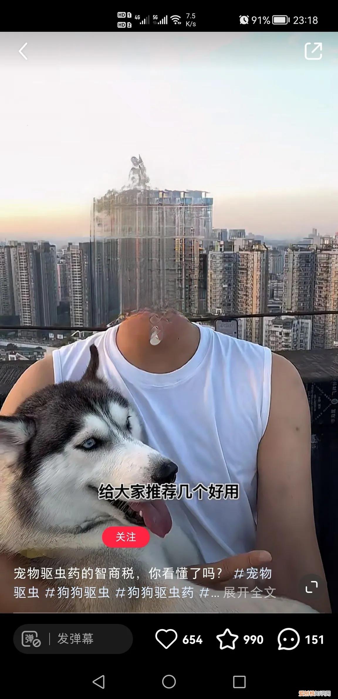动物圈的范围,无奈宠物圈毒科普却是更多人愿意听的
