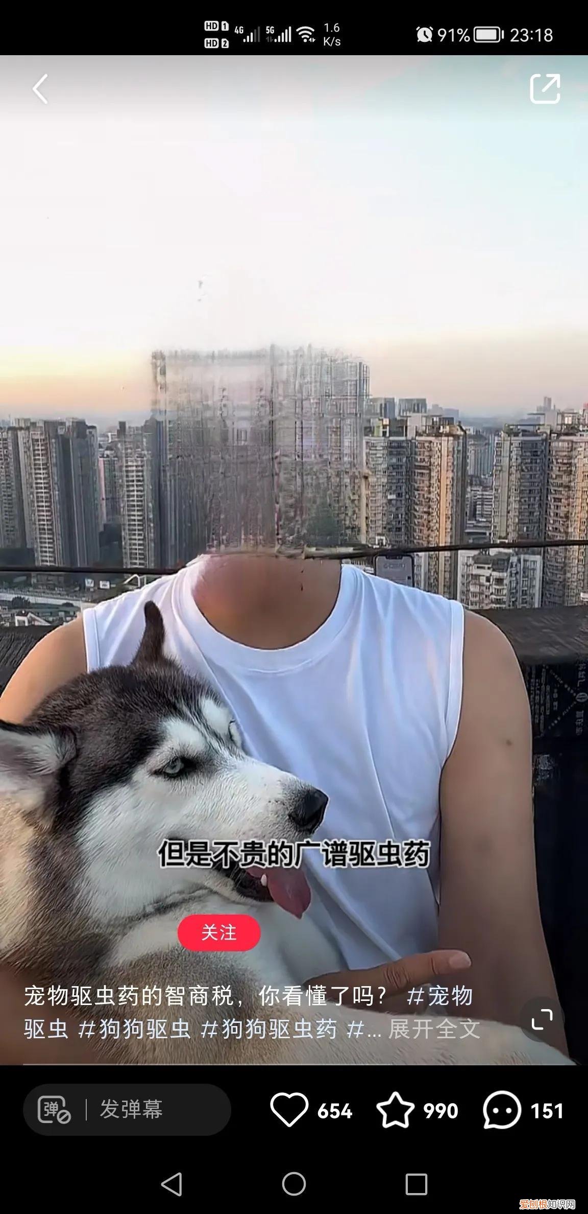 动物圈的范围,无奈宠物圈毒科普却是更多人愿意听的