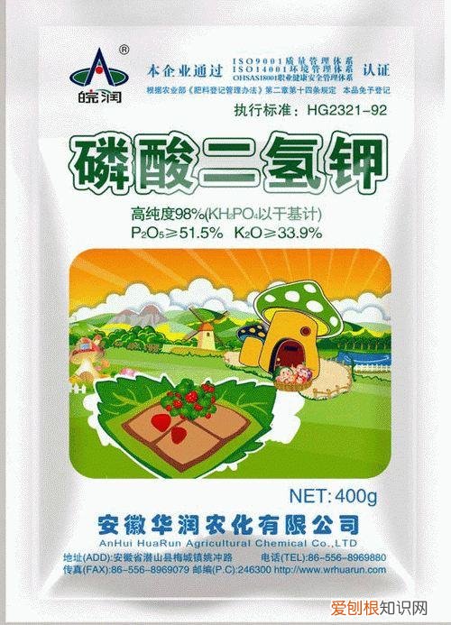 养花初学者，从零学习养花知识，懂得这些就是养花大咖