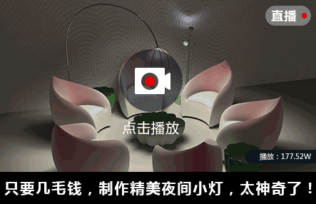 如何养买的花，值得收藏！花市老板绝不外传的8个养花绝招！