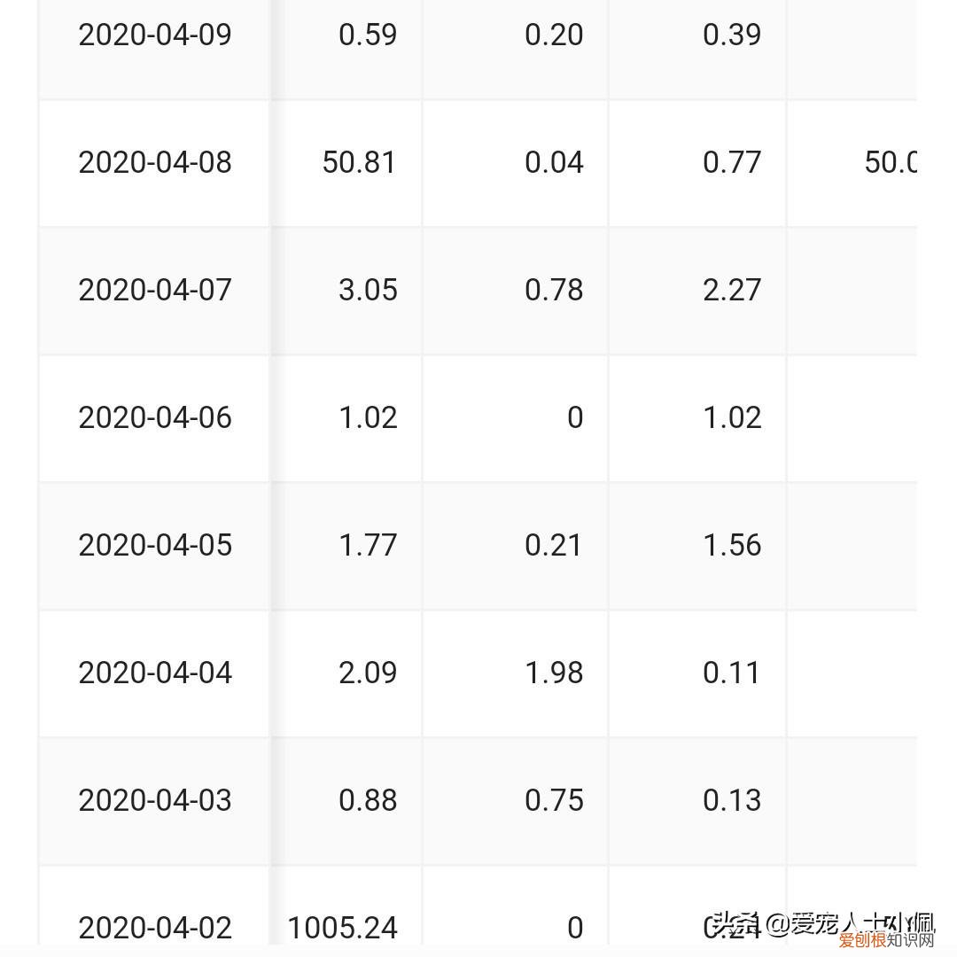 猫狗以外的宠物，学习养宠物猫狗知识你将愉快养宠物的生活