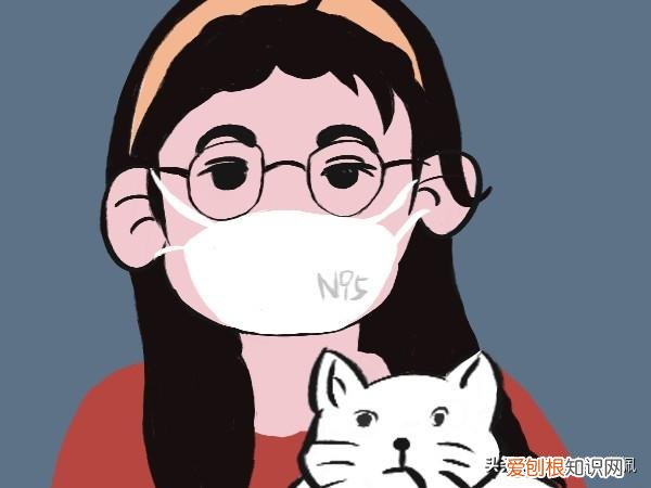 猫狗以外的宠物，学习养宠物猫狗知识你将愉快养宠物的生活