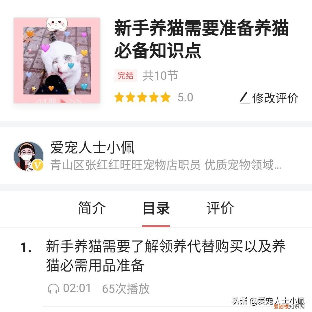 猫狗以外的宠物，学习养宠物猫狗知识你将愉快养宠物的生活