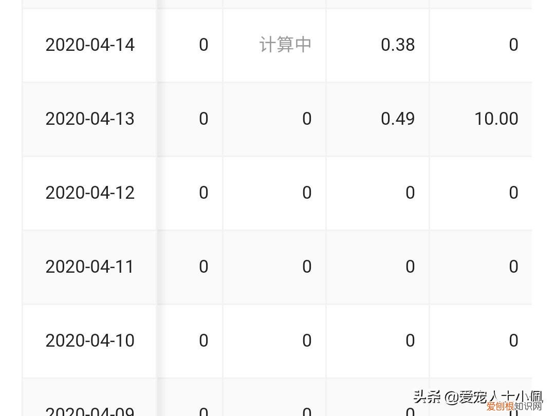 猫狗以外的宠物，学习养宠物猫狗知识你将愉快养宠物的生活