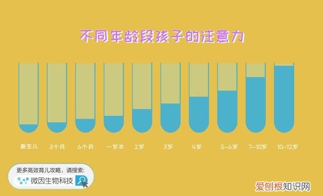 怎样培养孩子专注力 有什么方法，孩子专注力该如何培养，这里有家长想要的答案