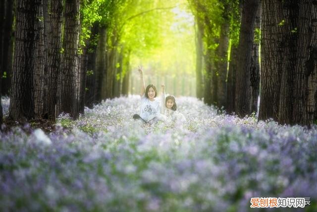 培养孩子专注力的有效方法讲座视频，培养孩子专注力的有效方法
