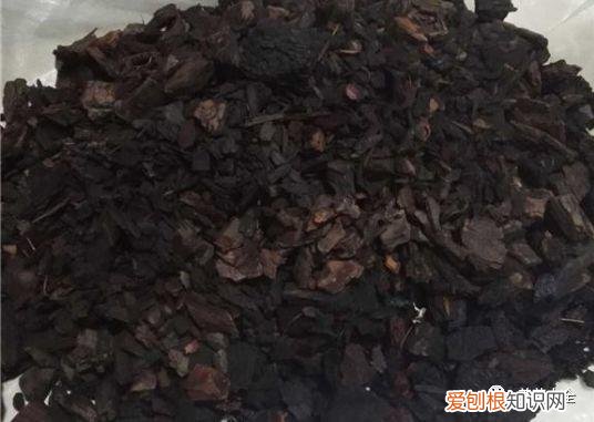 养花方法大总结,只要学会了,你就是养花大神,养花方法大总结,只要学会了,你就是养花大神!