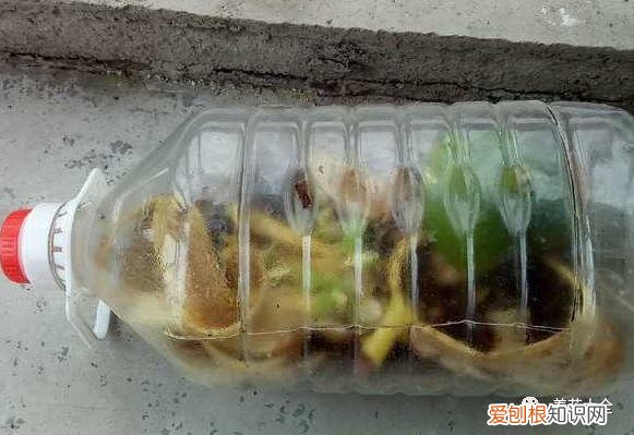 养花方法大总结,只要学会了,你就是养花大神,养花方法大总结,只要学会了,你就是养花大神!