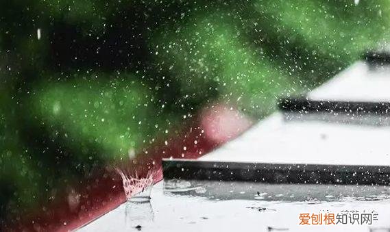 养花方法大总结,只要学会了,你就是养花大神,养花方法大总结,只要学会了,你就是养花大神!