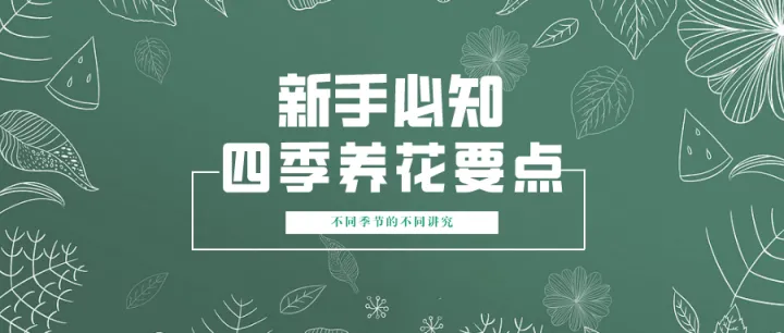 什么花适合秋冬季节养，新手必知丨春夏秋冬，四季养花要点