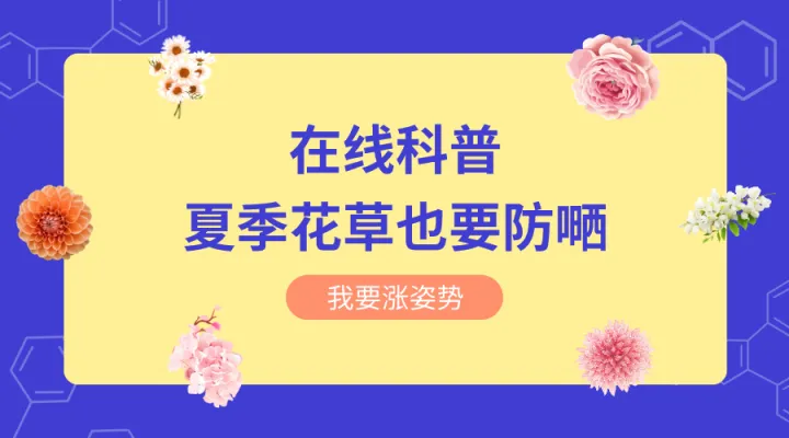 什么花适合秋冬季节养，新手必知丨春夏秋冬，四季养花要点