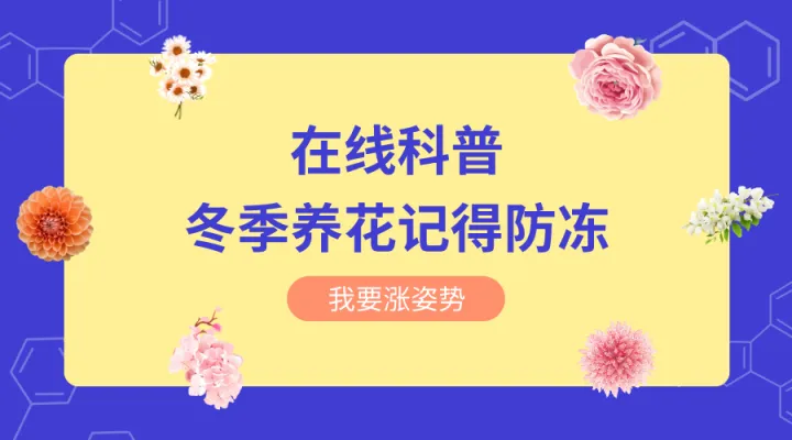 什么花适合秋冬季节养，新手必知丨春夏秋冬，四季养花要点